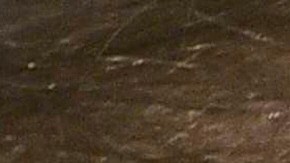 Hillary Clinton Donald Trump