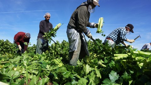 Inmigrantes latinos enfrentan más riesgo de muerte por enfermedades como hipertensión y diabetes