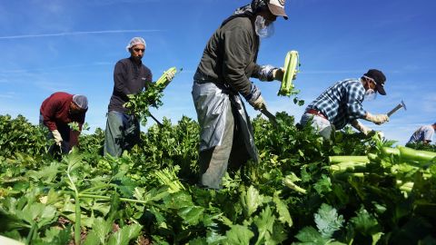 Inmigrantes latinos enfrentan más riesgo de muerte por enfermedades como hipertensión y diabetes