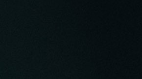 Arrestan a una mujer que arrojó a su perro desde un séptimo piso en Florida