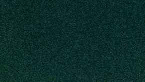 VIDEO: Conoce a Benny, el perro patinador, que conquistó corazones en la pista de hielo