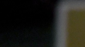 Julio César Chávez Jr.