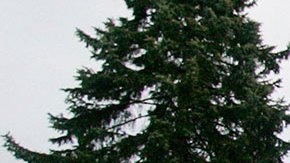 EE.UU. ordena a familiares de diplomáticos abandonar embajada de Bielorrusia por tensión en Ucrania