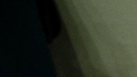 Pruebas de ADN en colmillos de elefantes se convierte en una nueva armas contra el comercio ilegal de marfil