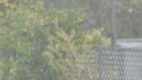 Houston Texas Accidente de tránsito