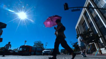 A pedestrian uses an umbrella on a hot sunny morning in Los Angeles October 24, 2017 amid a late season heatwave hitting southern California. Record temperatures in some locations including downtown Los Angeles reached 37 degrees Celsius (99 degrees Fahrenheit) before noon, tying a record set in 1909. / AFP PHOTO / FREDERIC J. BROWN (Photo credit should read FREDERIC J. BROWN/AFP via Getty Images)