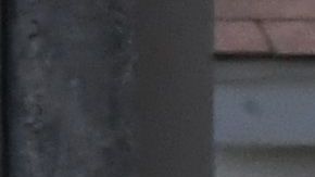 Ofrecen recompensa de $250,000 por información para hallar a niña de 4 años que desapareció en Texas