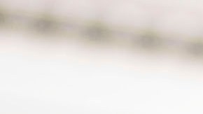 LOS ANGELES - JULY 3: Members of the Los Angeles Police Department stand in front of the Forest Lawn Memorial Park and Mortuary on July 3, 2009 in Los Angeles, California. It is believed that Michael Jackson's funeral will take place at the Forest Lawn Memorial Park and Mortuary. Jackson died at the age of 50 at the UCLA Medical Center after going into cardiac arrest on June 25 in Los Angeles, California. (Photo by Michal Czerwonka/Getty Images)