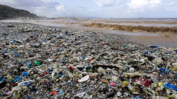 Calor extremo y contaminación por plásticos ponen a los océanos al borde del abismo