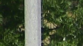 Police man an intersection May 11, 2018 following reports of shooting at Highland High School in Palmdale, 40 miles (65 kilometers) north of downtown Los Angeles. - Police arrested a man after reports of shootings at two schools near Los Angeles, the local sheriff's department and education officials said. The Los Angeles County Sheriff said one suspect had been detained "regarding the person with a gun" at Highland High School. Local news reports had earlier said that at least one person had been wounded. It was not immediately clear what type of weapon the man had. (Photo by Frederic J. BROWN / AFP) (Photo credit should read FREDERIC J. BROWN/AFP via Getty Images)