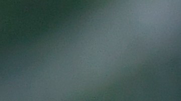 Andrés Guardado y Héctor Herrera