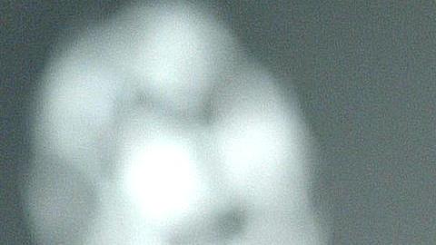 La sonrisa de Adriano siempre presente.