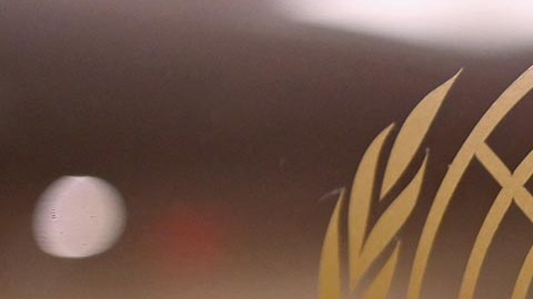 La ONU le pide al presidente ruso que retire sus tropas de Ucrania