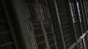 Del 24 al 27 de marzo los que ganaron su lugar conocerán cómo es la vida de un recluso dentro de la prisión