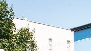 La adolescente se encontraba recargada en su automóvil