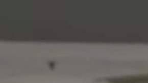 La modelo Greta Gila participó en concursos de belleza antes de ser encarcelada por error.