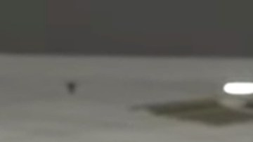 La modelo Greta Gila participó en concursos de belleza antes de ser encarcelada por error.