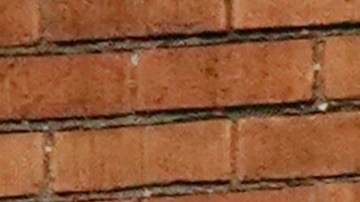 Hertz acusa erróneamente a 230 personas por robo de vehículos