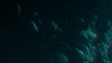 Horizon Forbidden West