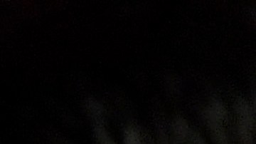 Fanáticos piden la renuncia del entrenador Javier Aguirre.