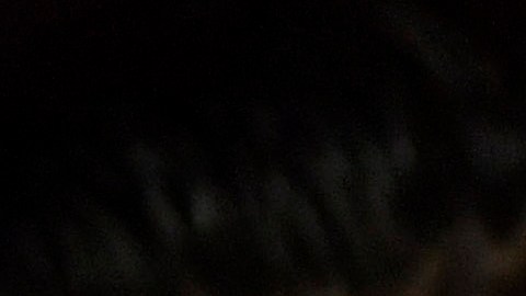Fanáticos piden la renuncia del entrenador Javier Aguirre.