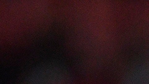 Ariel Holan, director técnico de Club León, se sentará en el banquillo la próxima jornada de la Liga MX contra el Cruz Azul.