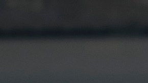 Pizarro ha estado en dos etapas con los Tigres UANL