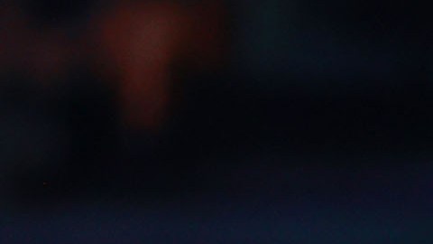 Diego Lainez
