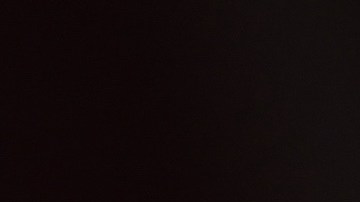 Marcelo Michel Leaño, DT de Chivas.