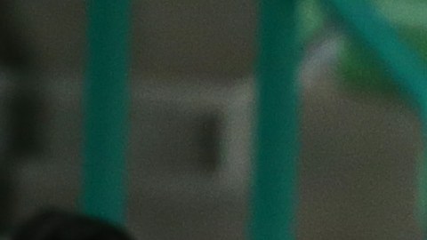 Santos Laguna