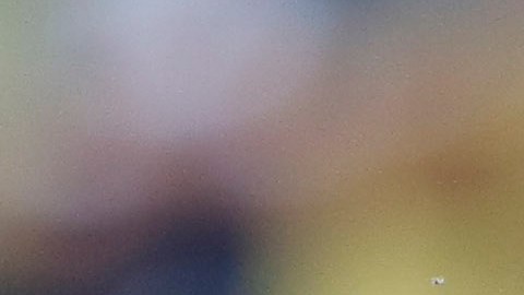 Santiago Solari se llevó una pitada y gritos de la afición del América para que deje el cargo.