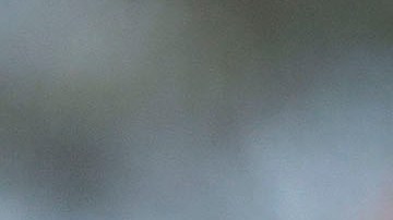 Francisco "Kikín" Fonseca.