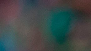 Ándrés Guardado y Chicharito