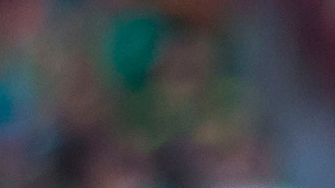 Ándrés Guardado y Chicharito