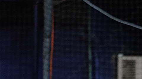 El cubano fue seleccionado en el mejor equipo de la Serie del Caribe.