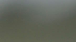 Javier "Chicharito" Hernández.