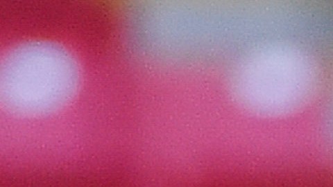 Víctor Manuel Vucetich