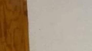 Militares recapturan al Contador, líder del Cártel del Golfo.