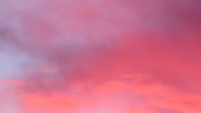 Los restos podrían corresponder a un hombre de 66 años desaparecido hace 12 años en el lugar.