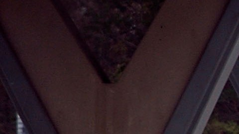 Jovencita latina de 18 años de Houston encontrada muerta en su primera cita