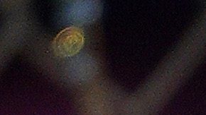 Karol G se convirtió en una diablita digital.