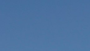 LAPD considera limitar 'paradas de pretexto' de oficiales contra conductores y peatones