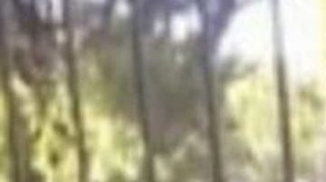 Madre asesina a su hijo Milo, de dos años de edad, por venganza.