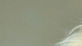 Marisela, El Buki y su esposa | Mezcalent.