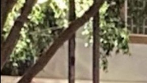 Ejecutan a director de cine en México.