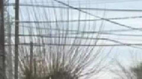 Policía resguarda avenida y hospital, tras multihomicidio en Ciudad Juárez.