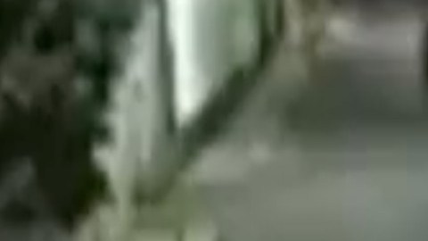Ejecutan a sicario y familiares le dedican mensajes de amor.