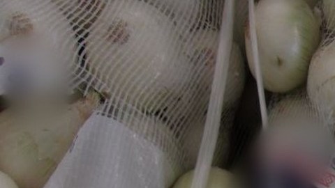 Incautan metanfetaminas escondidas en cargamento de cebollas.