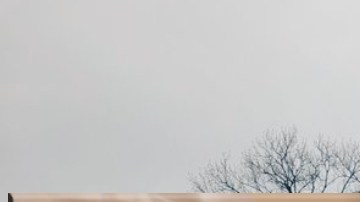 Bebita desaparecida en Tennessee