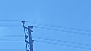 Nascar en Los Angeles